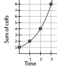 Cell Growth Graph