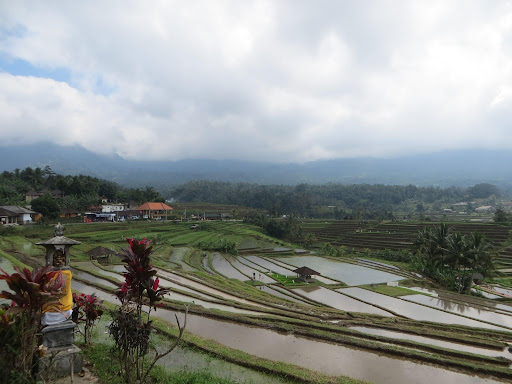Gambar 1