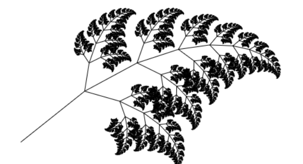 A bacterium