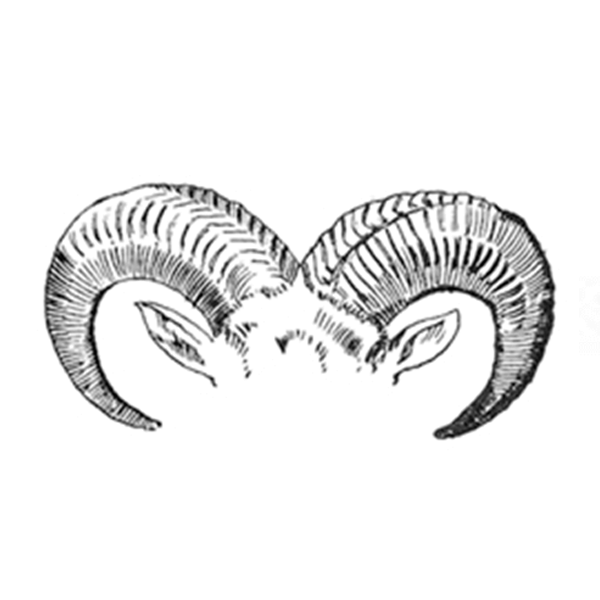 A bacterium