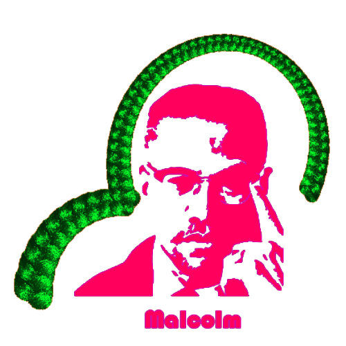 Cornrow Curves Mathmatical Software