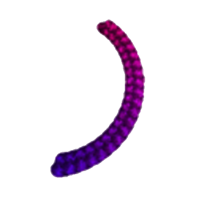 Variables Tutorial